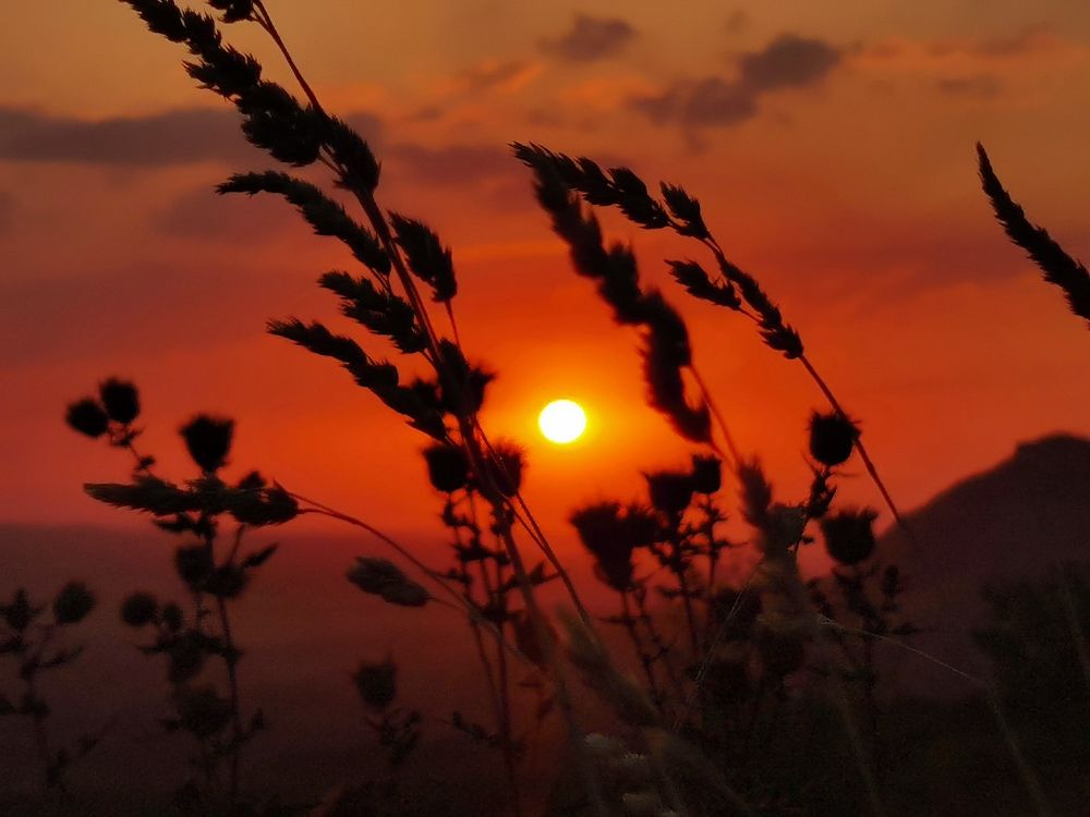 Photograph by Алексей Мартынов