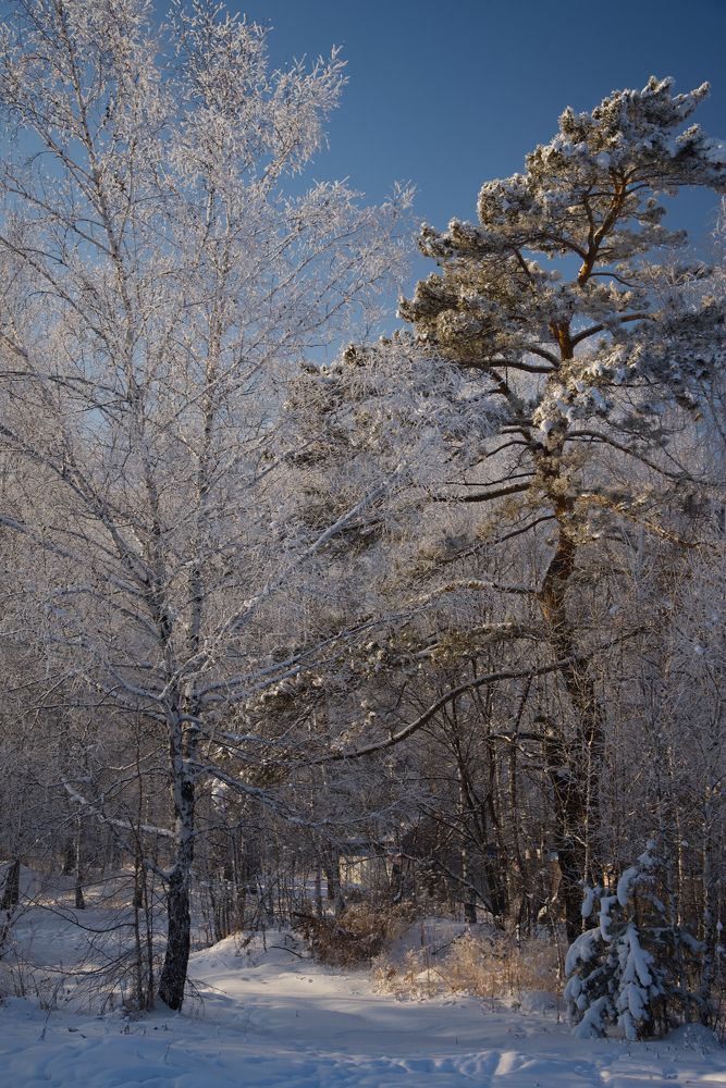 Photograph by Ксения Шакирова