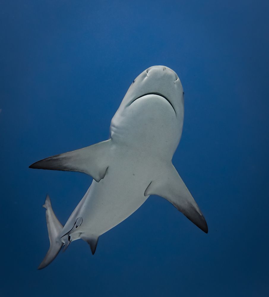 Photograph by Ceci Gutierrez