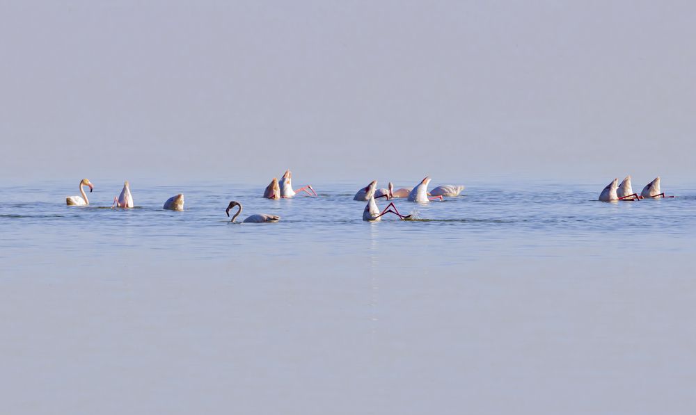 Photograph by Stamen Sotirov