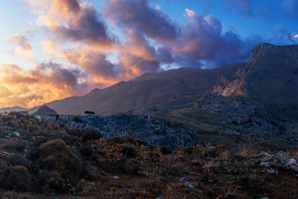 Photograph by Irina Lutsenko