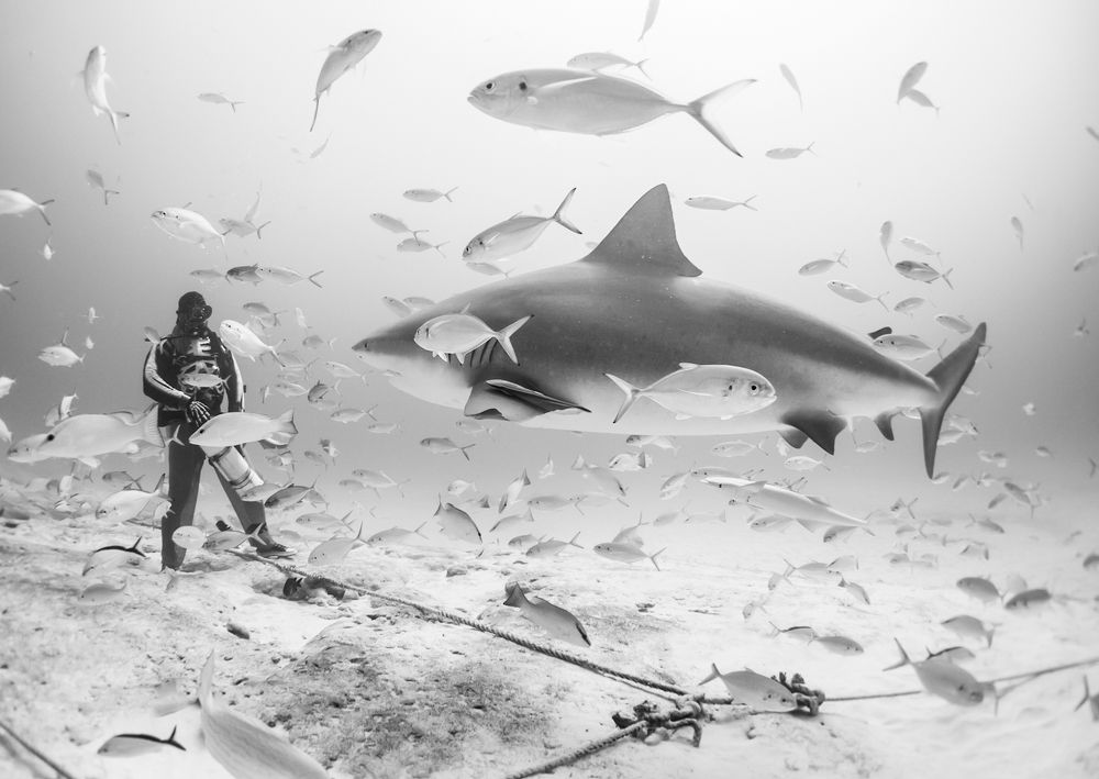 Photograph by Ceci Gutierrez