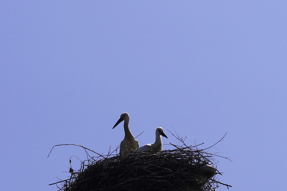 Photograph by Оксана Кобинец