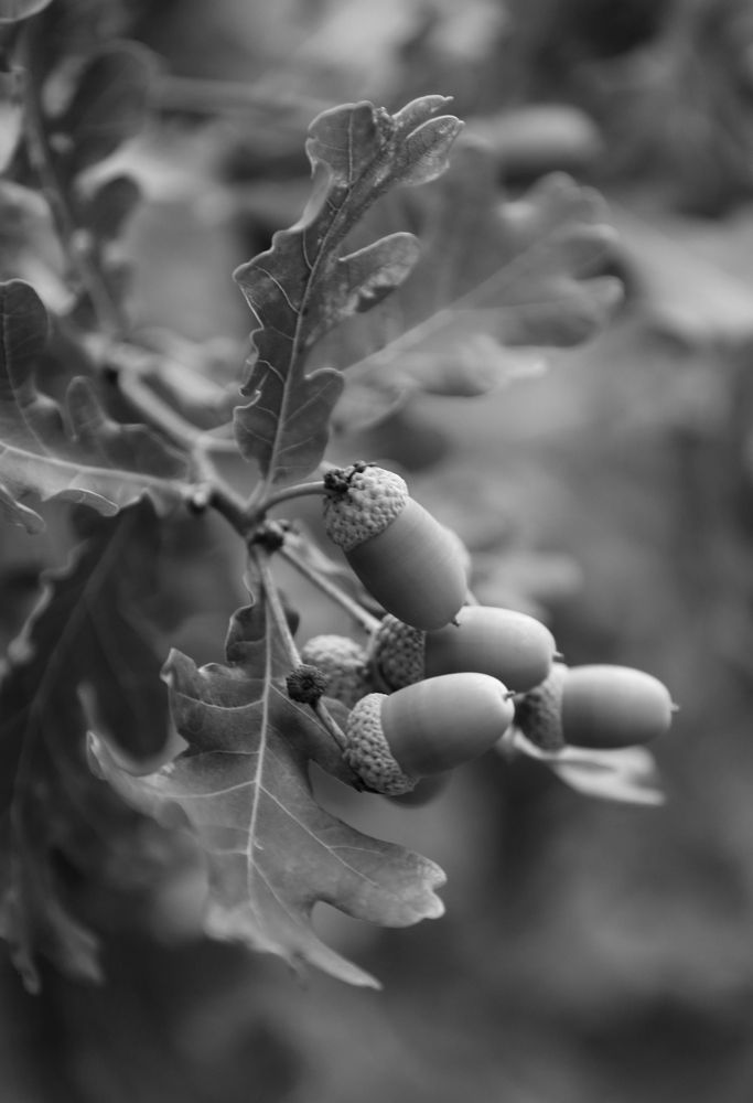 Photograph by Унку Юрий