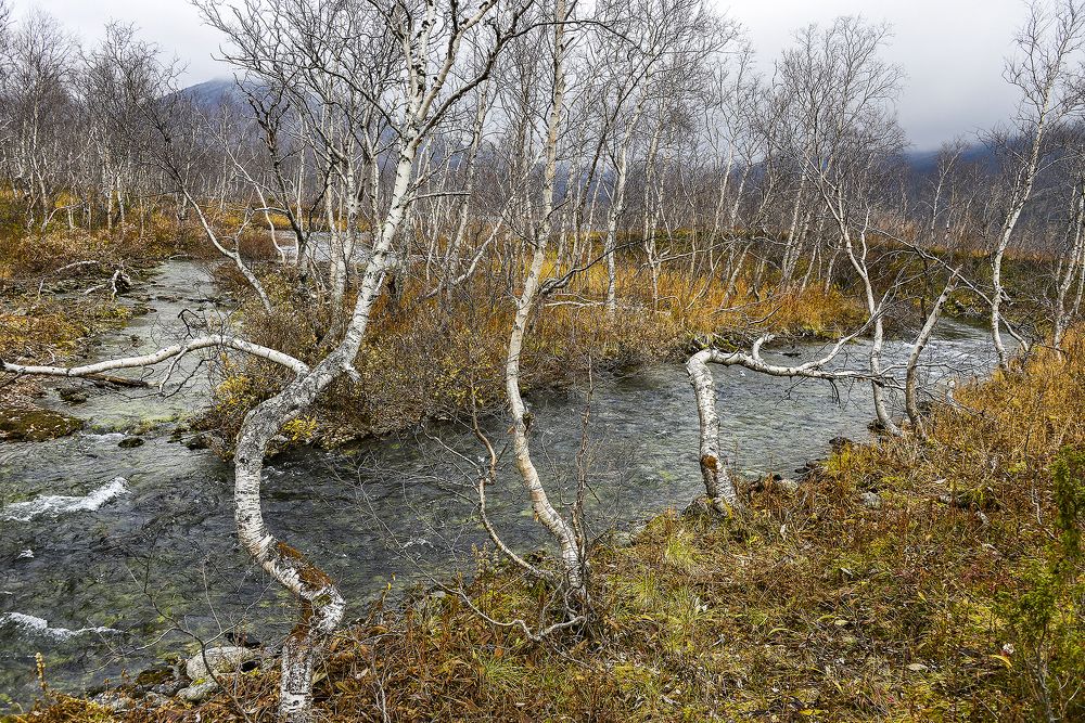 Осень в Хибинских горах