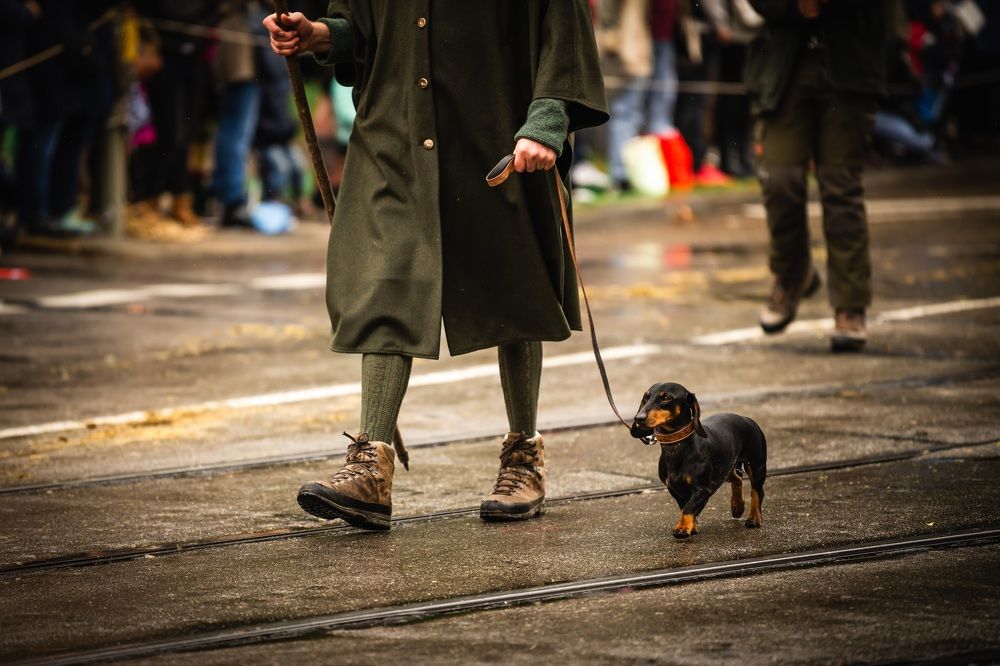 Photograph by Agnieszka Wieczorek