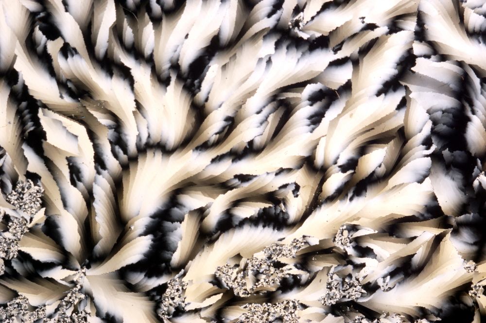 Photo #8956064