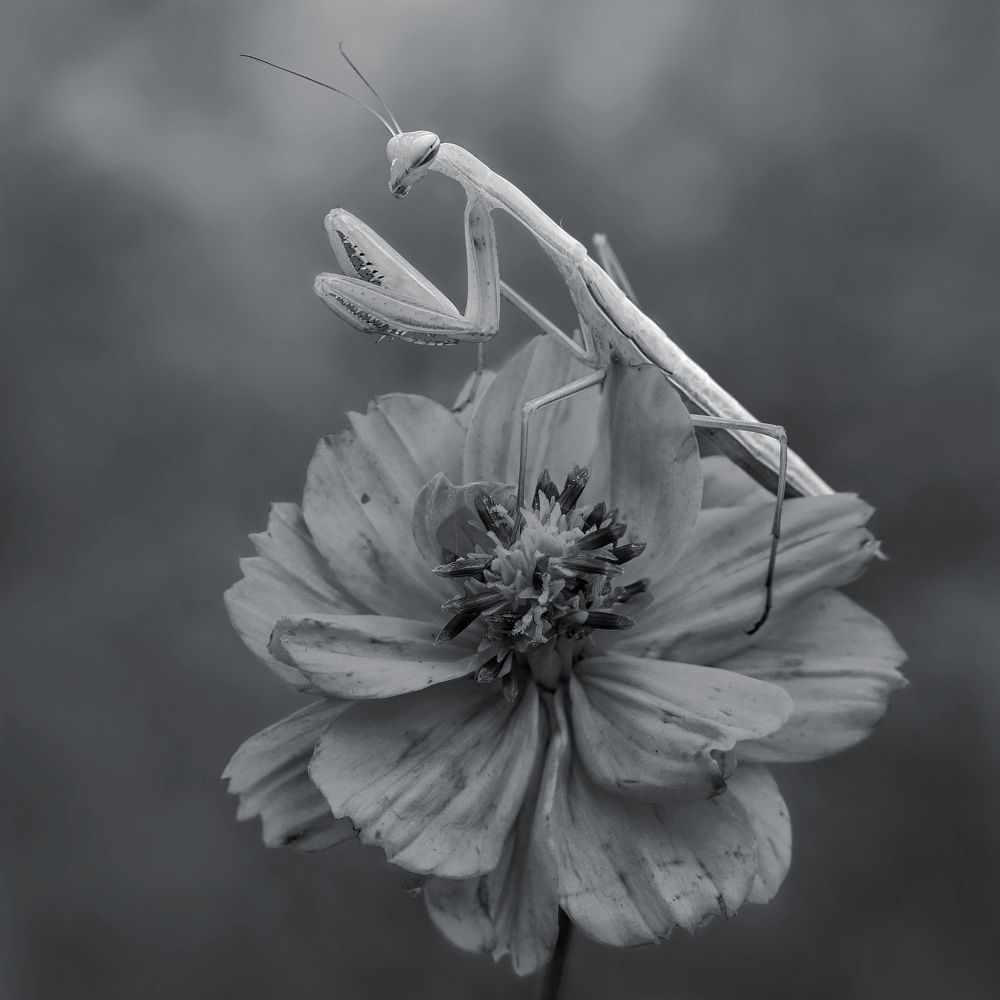 Photograph by Павел Колеснев