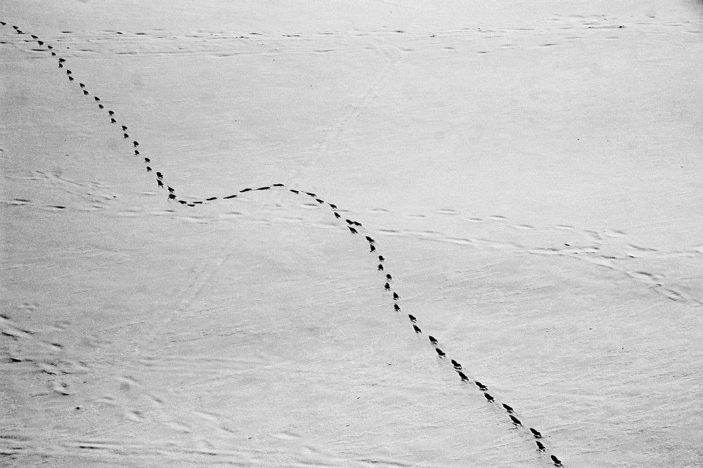 Photograph by Жанна Валиева