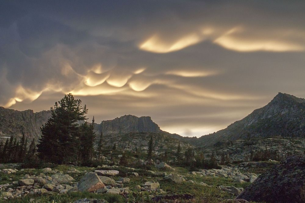 Photograph by Родион