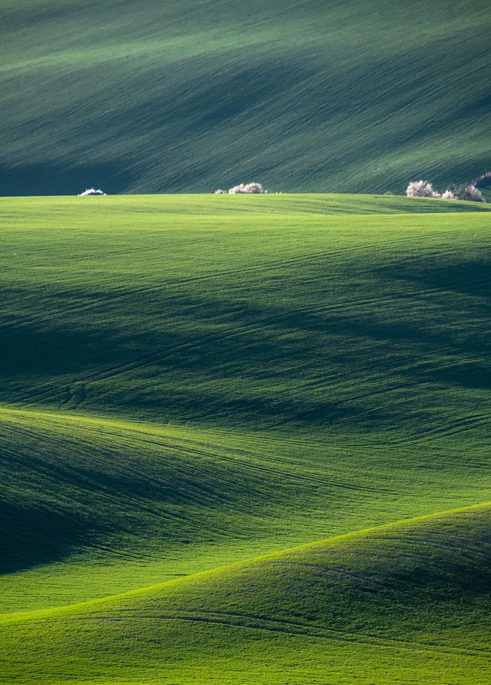 Photograph by ПАВЕЛ