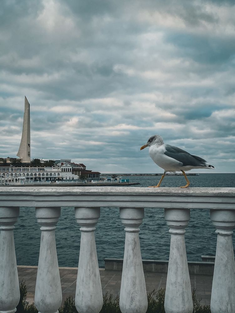 Photograph by Александра Сафронова