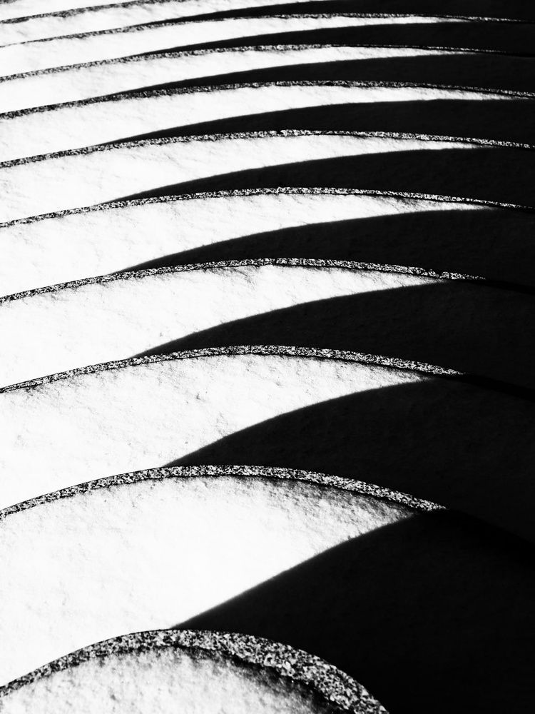 Photograph by Дмитрий Потапов