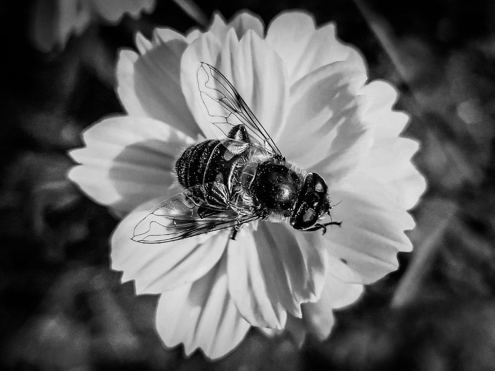 Photograph by Ольга Тюрина