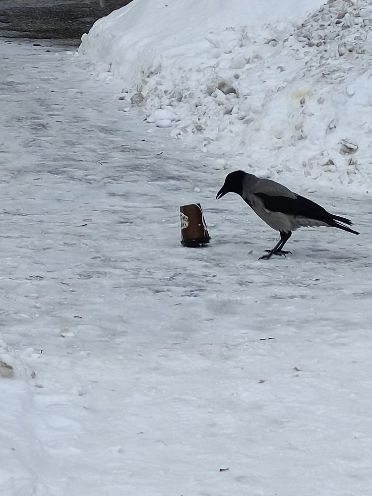 Photograph by Мария