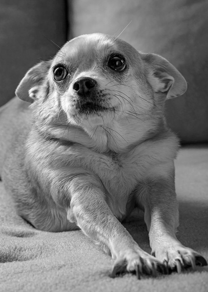 Photograph by Сергей Калинин