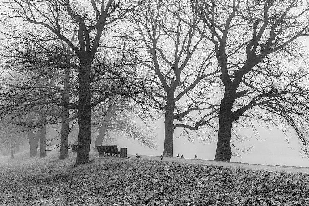 Photograph by Ольга Тюрина