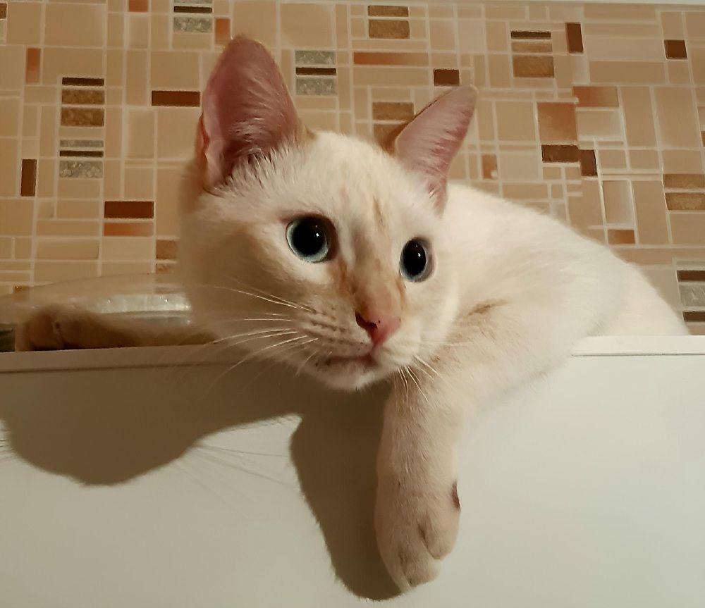 Photograph by Bauyrzhan Saukhatov