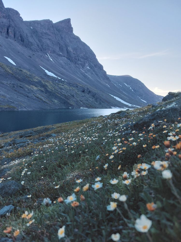 Photograph by Галина Андреева