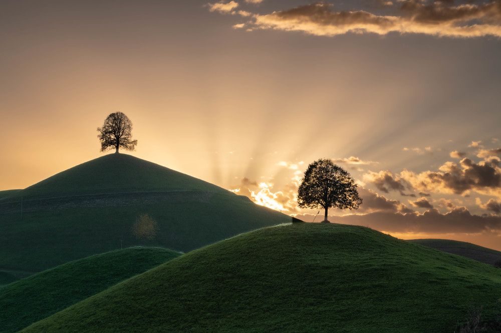 Фотография автора Ilia Vytnov