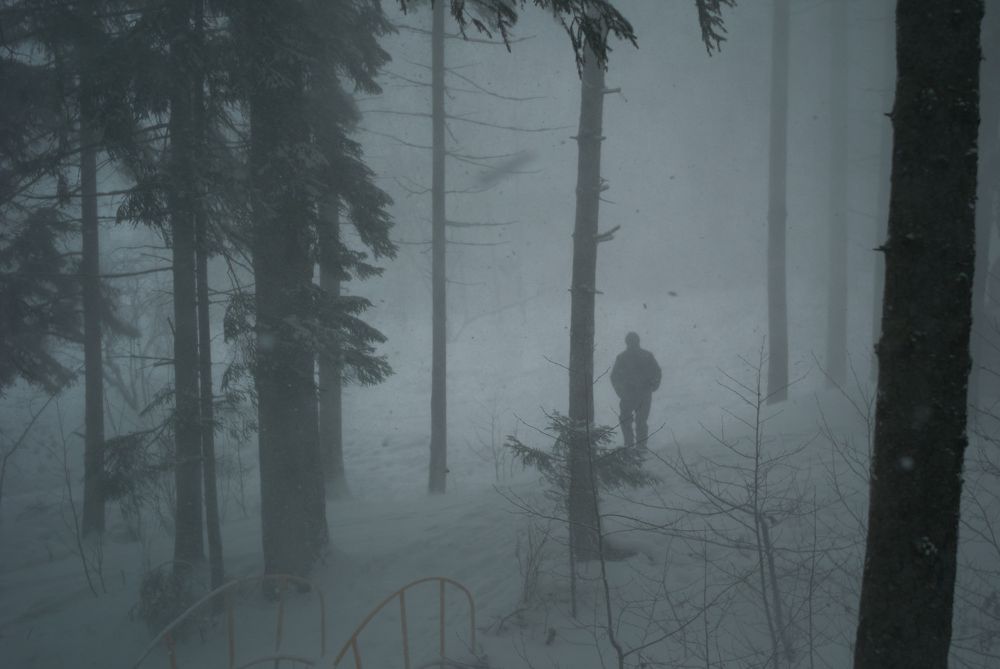 Photograph by Юлия Седельникова