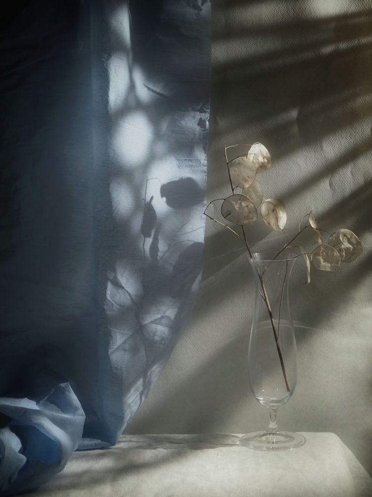 Photograph by Екатерина