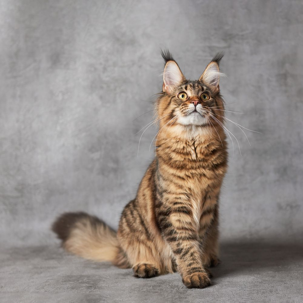 Photograph by Владимир Греков