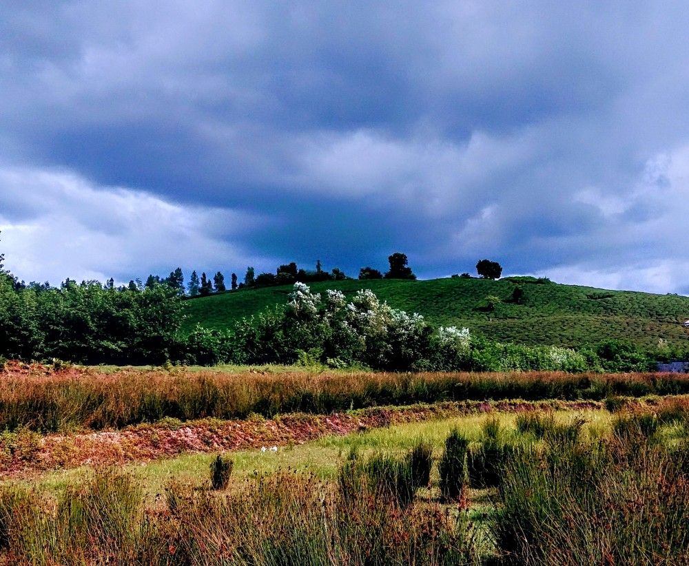 Photograph by Ata Hashemi