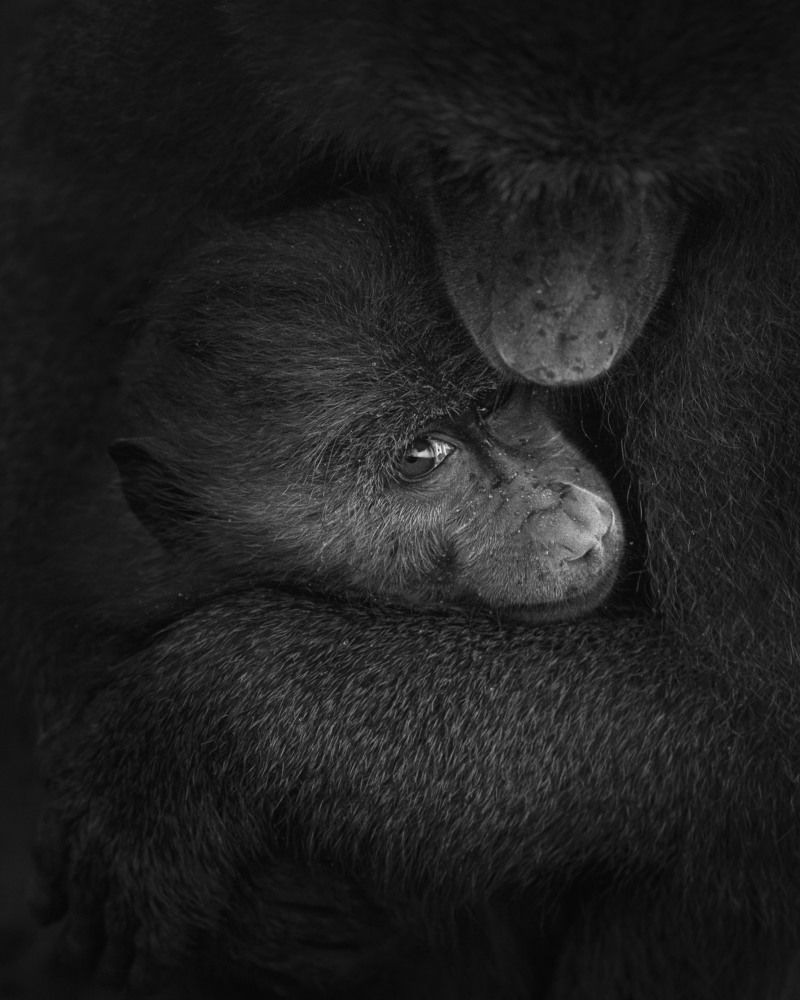 Photograph by Hiresha De Silva