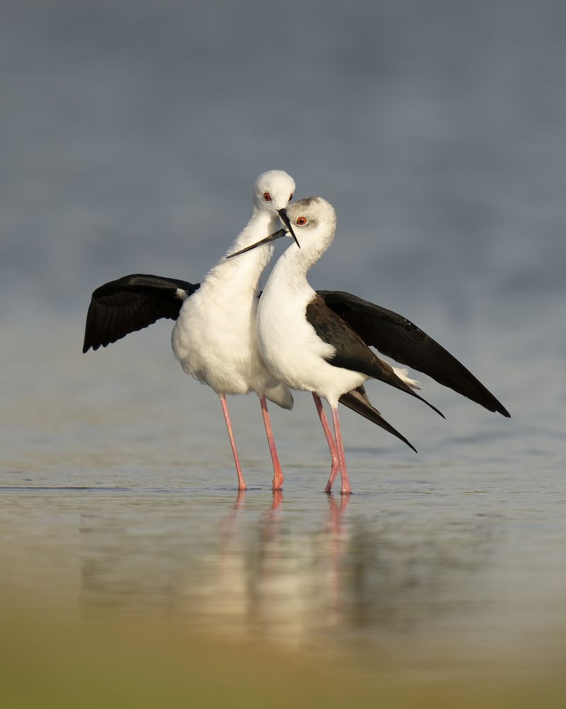 Photograph by Akhil Vinayak Balachandra Menon