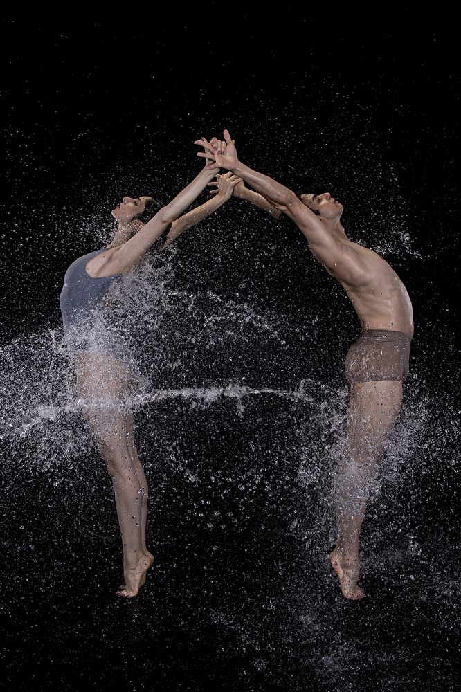 Фотография автора Ricardo Q T Rodrigues