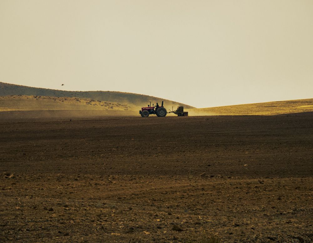 Photograph by Parisa Bahrami