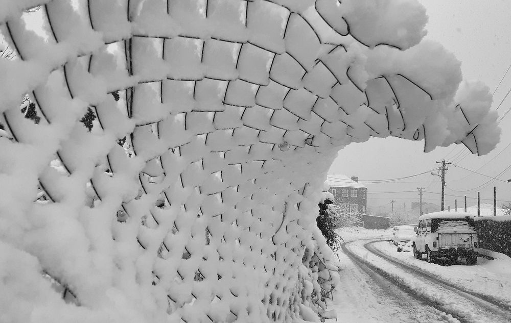 Photograph by Дмитрий Фисенко