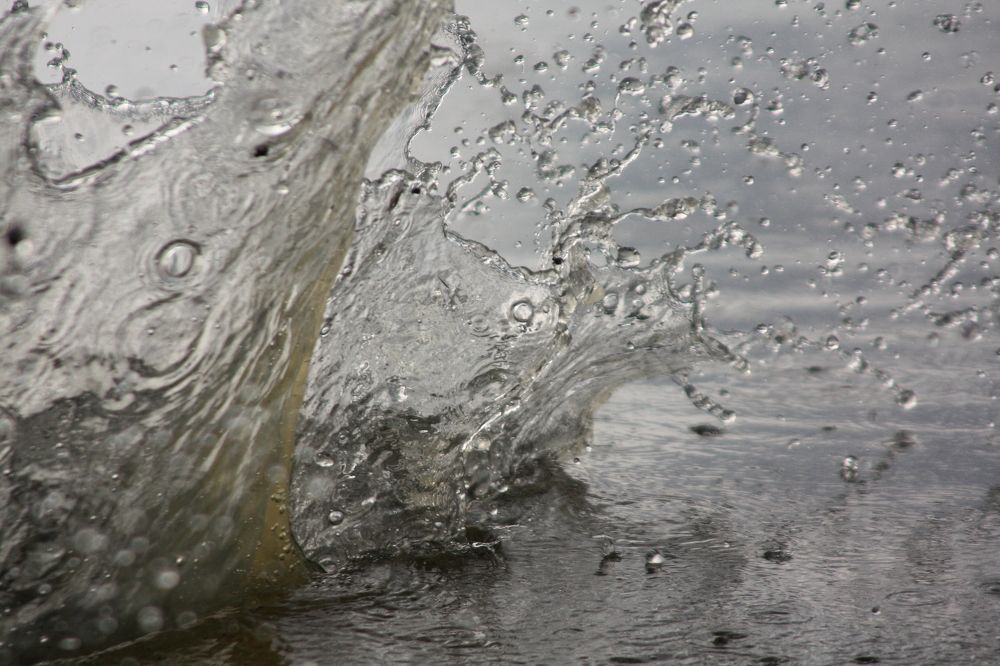 Photograph by Viana Vaseqi