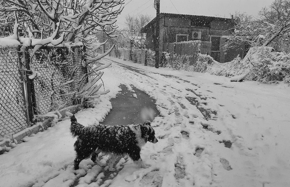 Photograph by Дмитрий Фисенко