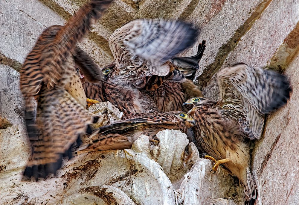 Photograph by Щукин Алексей