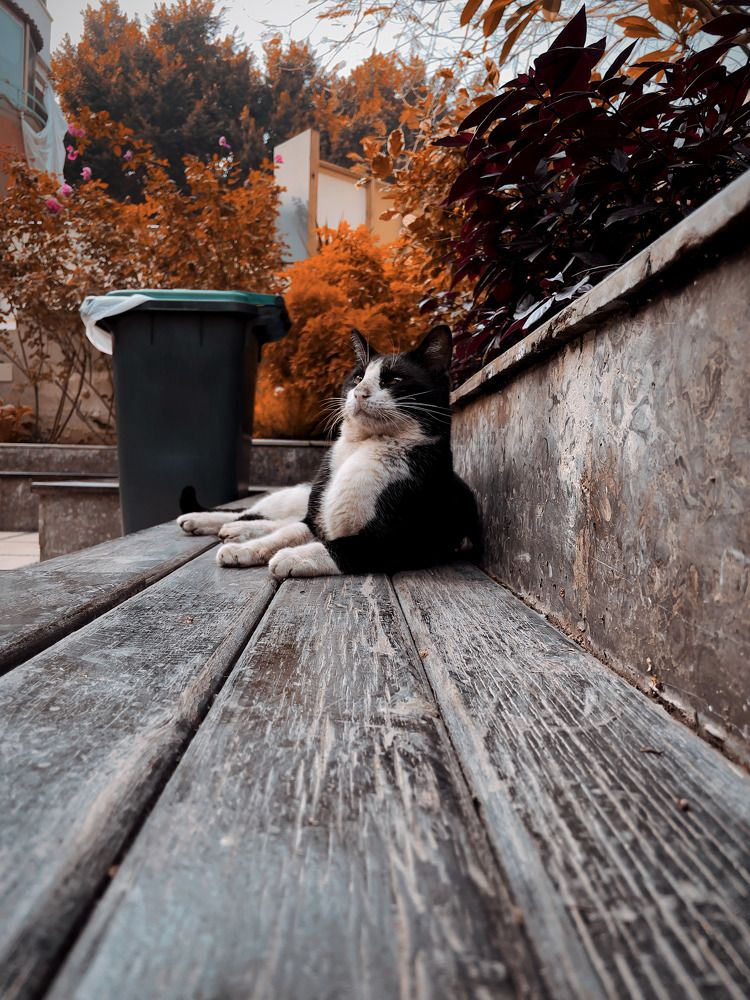 Photograph by Omar Khaled El Sayad