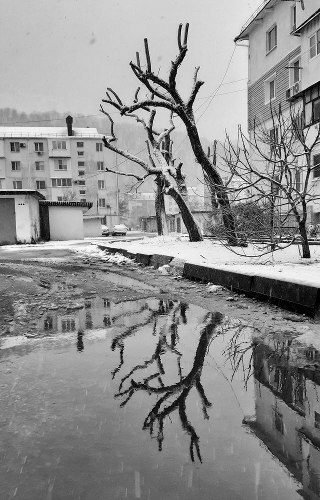 Photograph by Дмитрий Фисенко