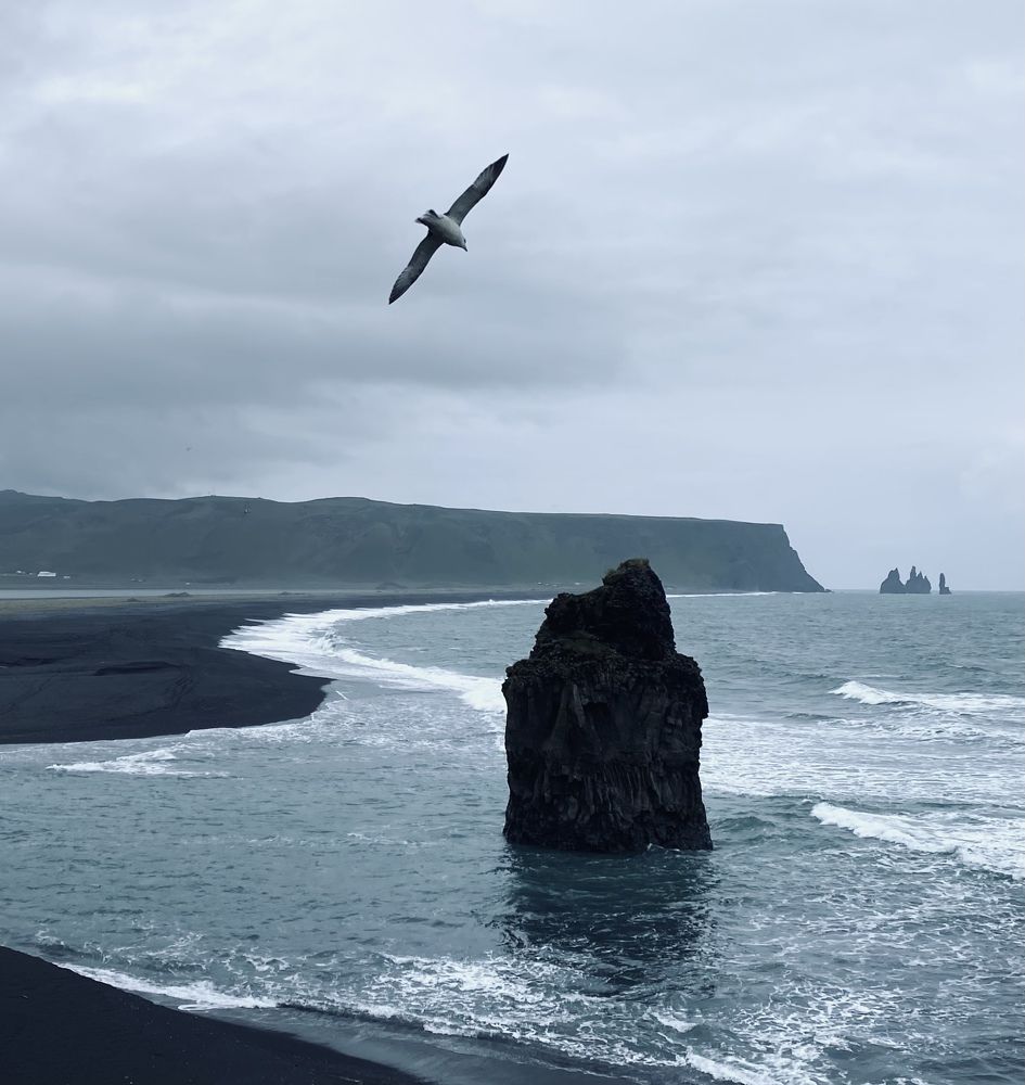 Photograph by Наталья Посашко