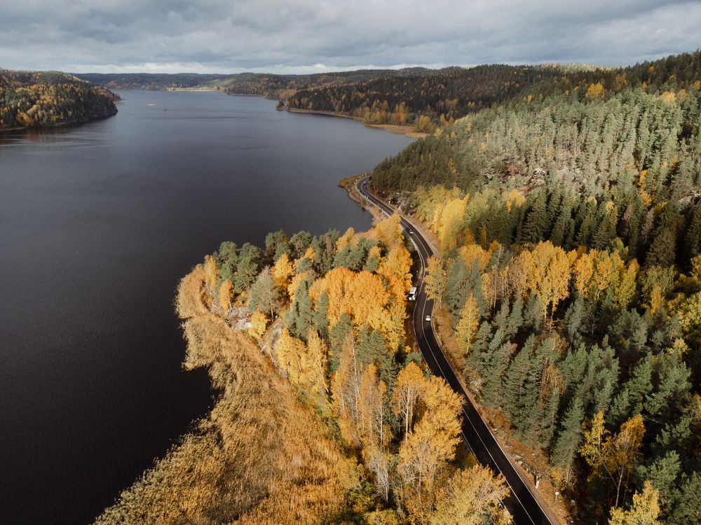 Фотография автора Александр Колдин