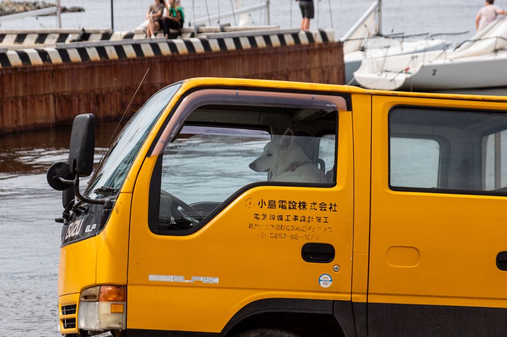 Photograph by Никита Колеганов