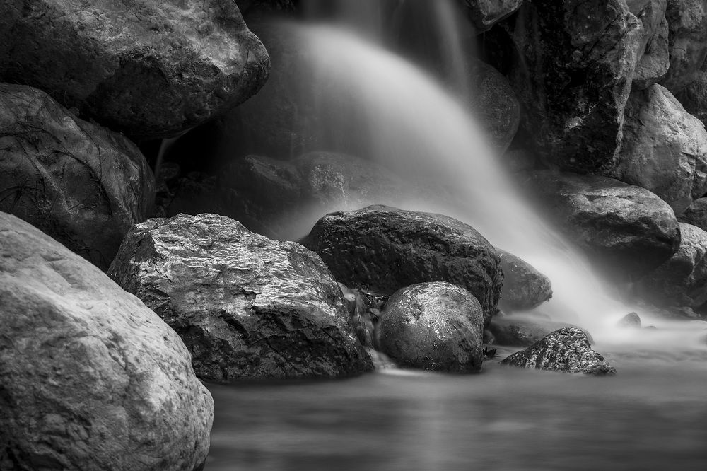 Photograph by Aljona Dyachenko