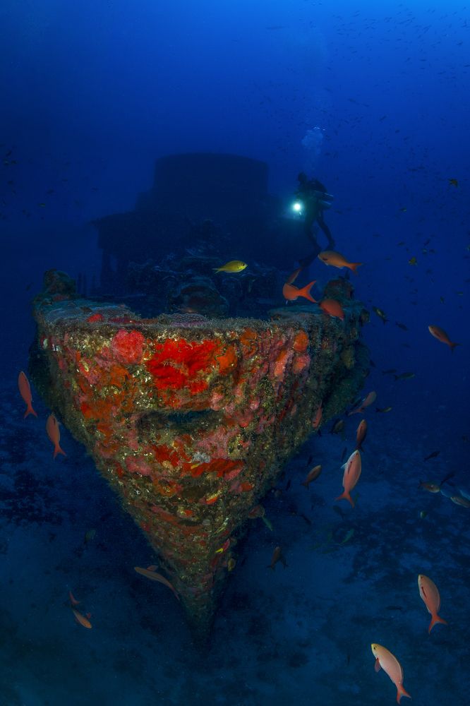 Фотография автора Paula Vianna