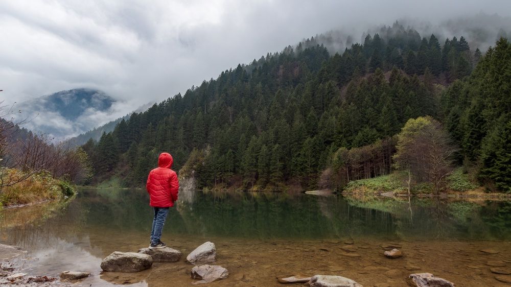 Photograph by Ali Alqassab