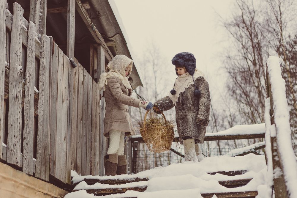 Photo #8956992