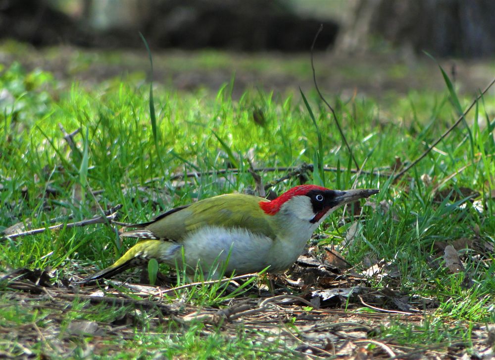 Photograph by Оксана Архипова