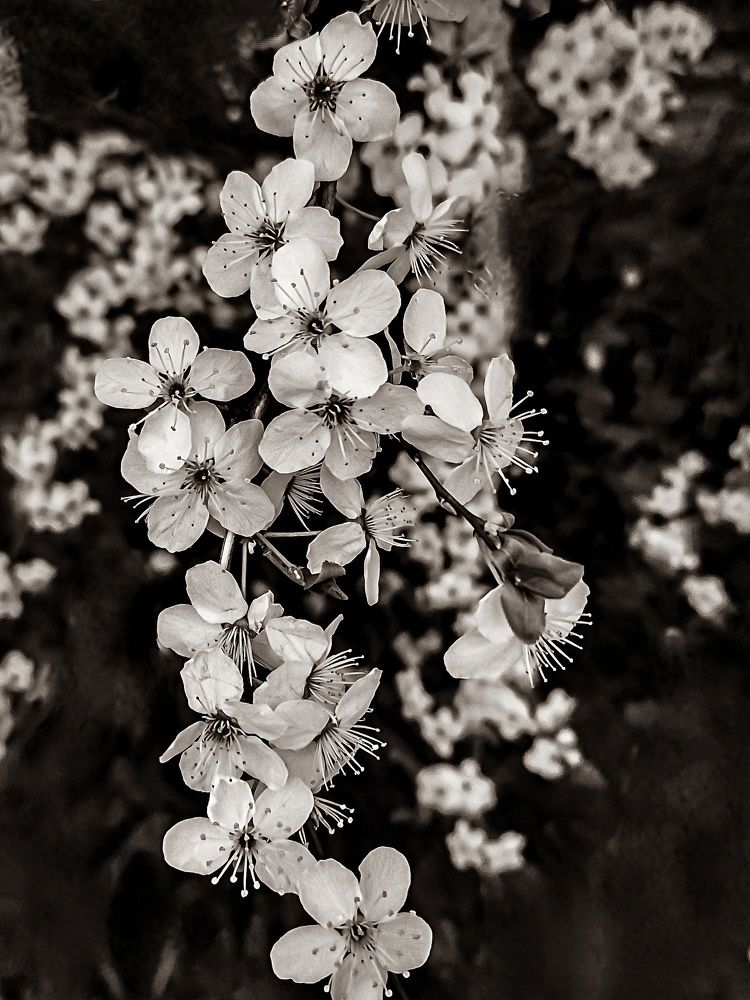 Photograph by Наталия Березина