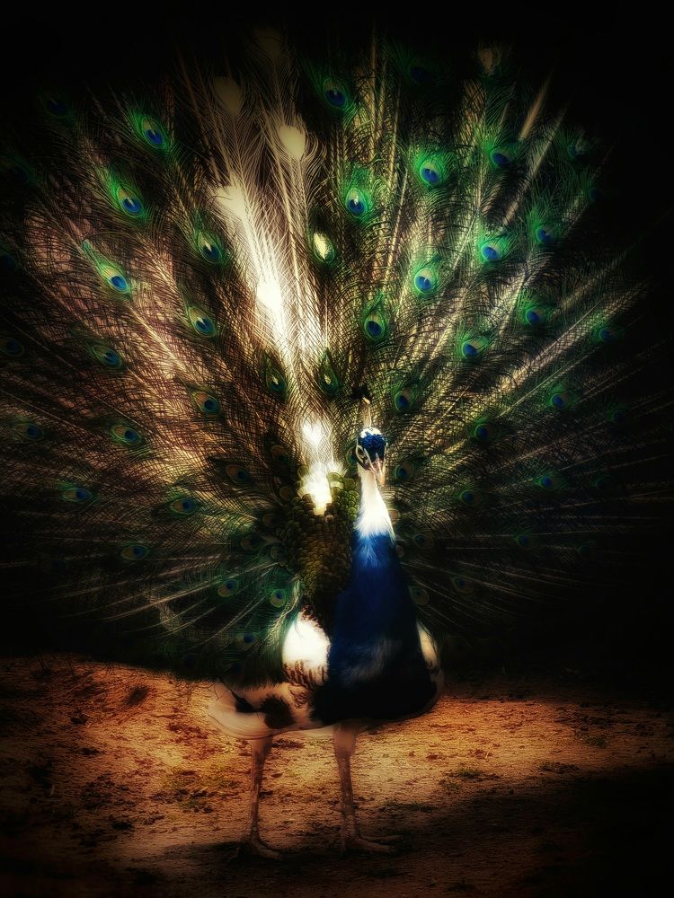 Photograph by Екатерина Цыбулькина