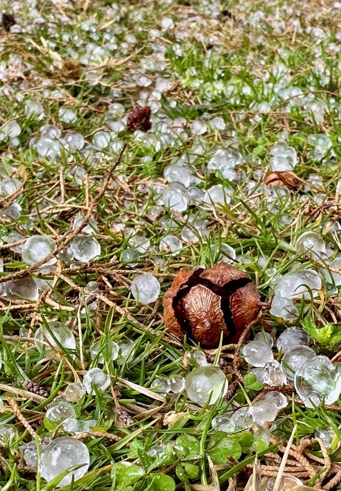 Photograph by Olga Filonenko