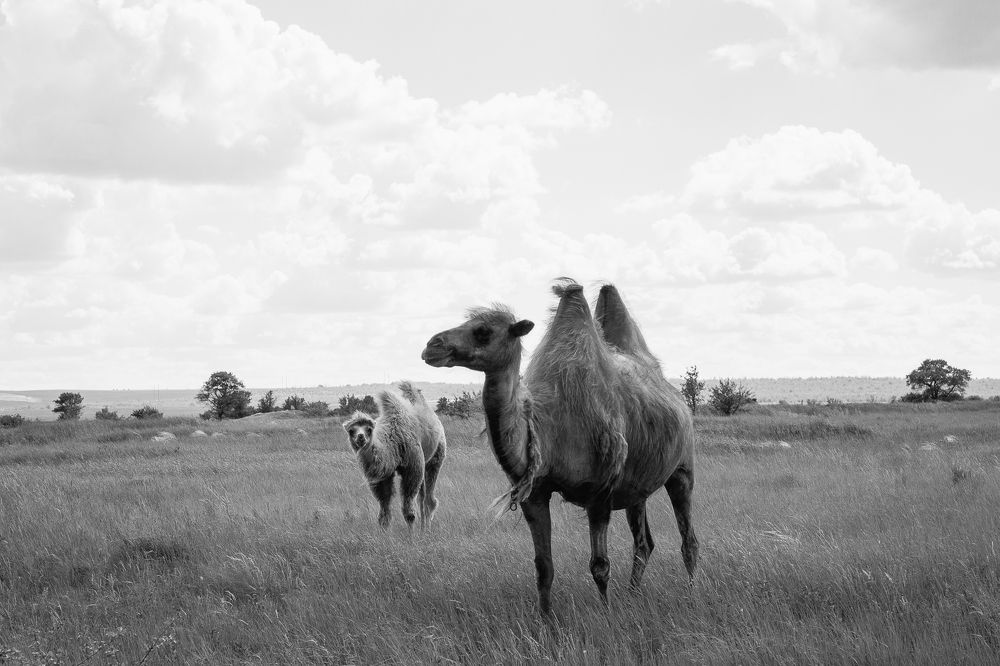 Photograph by Ольга Козлова